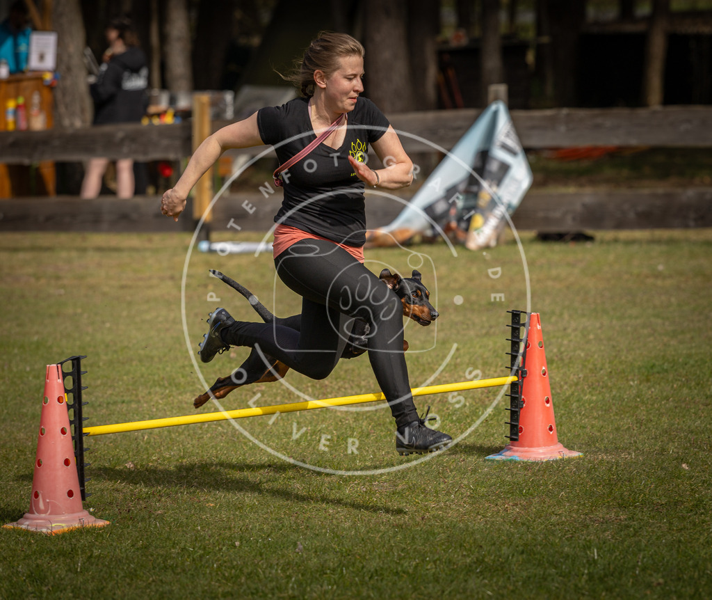 Pfotenfotografie_DV3A9426 | Hundefotografie, Tierfotograf, Pfotenfotografie, Fotoshooting Hund, Hunde Portrait, Hundesport, Hundeportraits, Heideshooting, Hunde, Sportfotograf, Hundefotograf, Turnierhundsport, THS,  - Realisiert mit Pictrs.com