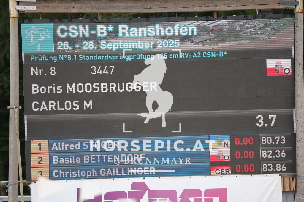 0P6A8156 | Willkommen bei Brunnmayr - Design & Fotografie – Ihrem Spezialisten für Reitturniere und Pferdeveranstaltungen in Oberösterreich, Salzburg und Bayern! Seit über 17 Jahren sind wir leidenschaftlich dabei.