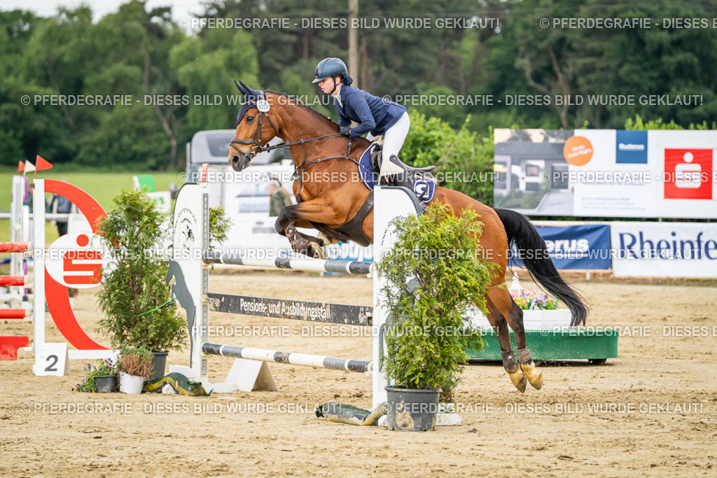 DSC06825 | Pferdegrafie