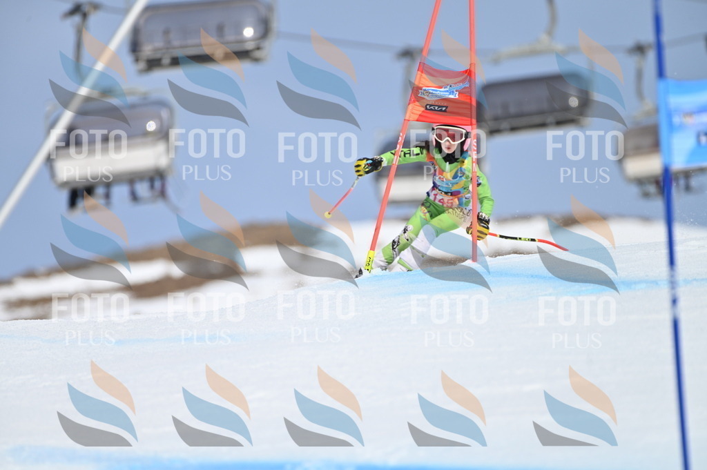 BGV_0225 | holidayphoto