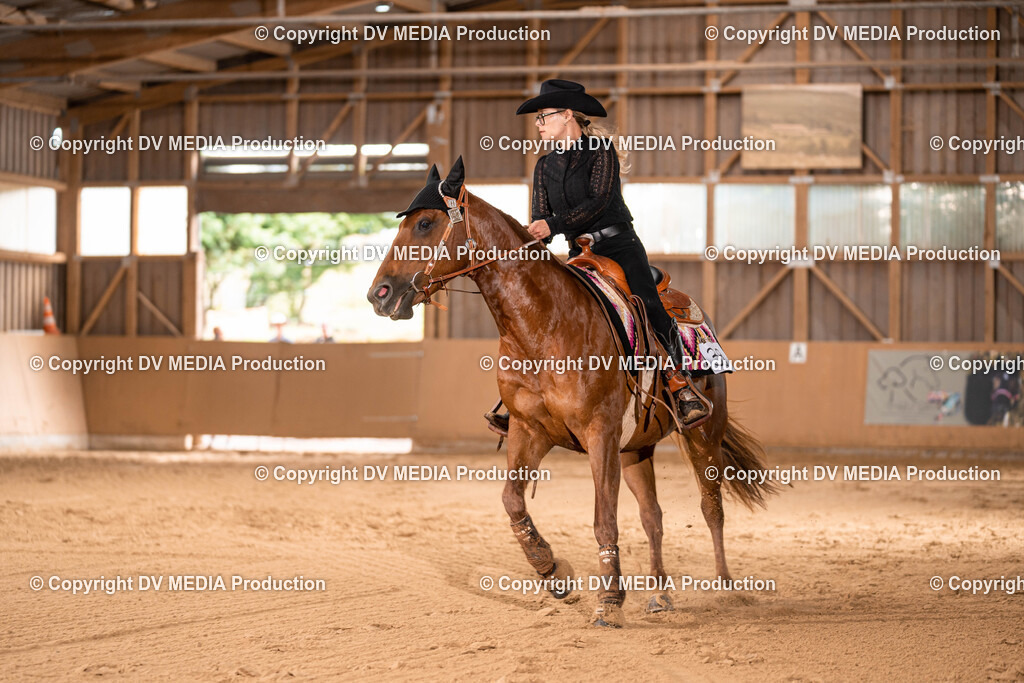 Losheim Tag 1-754 | dv-media-shop - Realisiert mit Pictrs.com