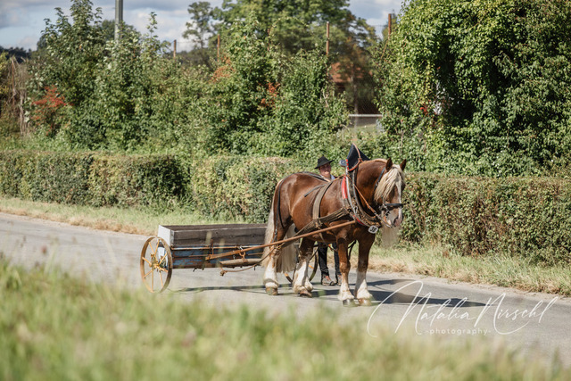 7V6A1613 | natalia-nirschl-photography
