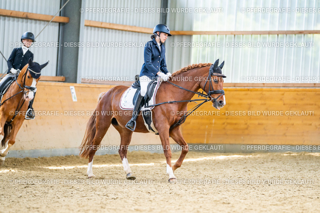 DSC04594 | Pferdegrafie