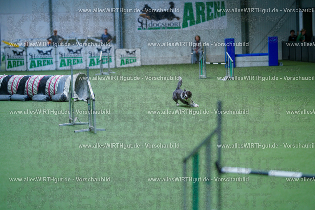 @allesWIRTHgut_Tierfotografie - www.allesWIRTHgut.de - 2604261227-7R500941 | Professionelle Tierfotografie in Mönchengladbach von Daniel Wirth (allesWIRTHgut). Liebevolle & natürliche Bilder von Hunden & Katzen für unvergessliche Erinnerungen.