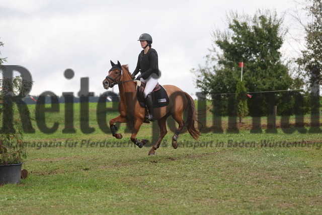 Altensteig_2024_Prfg.Nr.02_Geländepferdeprfg.Kl.A_Merle Hoffmann_Prima Rubina K (3) | Alle Fotos der Reiterjournal Fotografin Doris Matthaes im Reiterjournal Online-Fotoshop. - Realisiert mit Pictrs.com