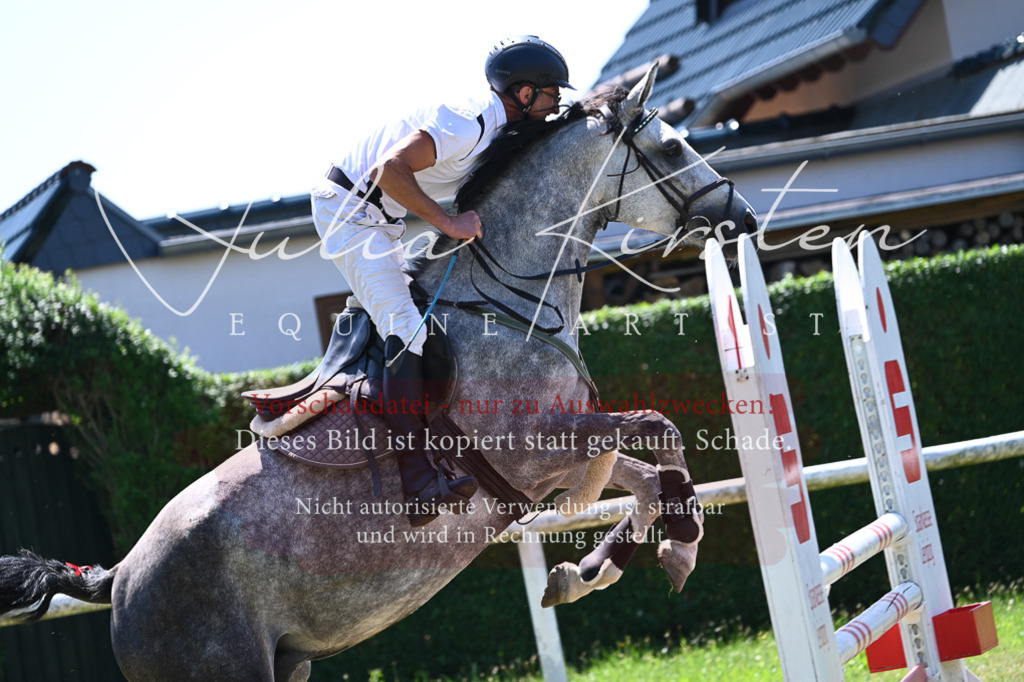 DSC_0647 | Pferde- und Turnierfotografie in Westsachsen. Pferdeportraits, Auftragszeichnungen und intuitive Kunst.