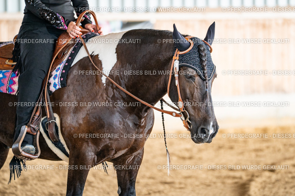 DSC08364 | Pferdegrafie