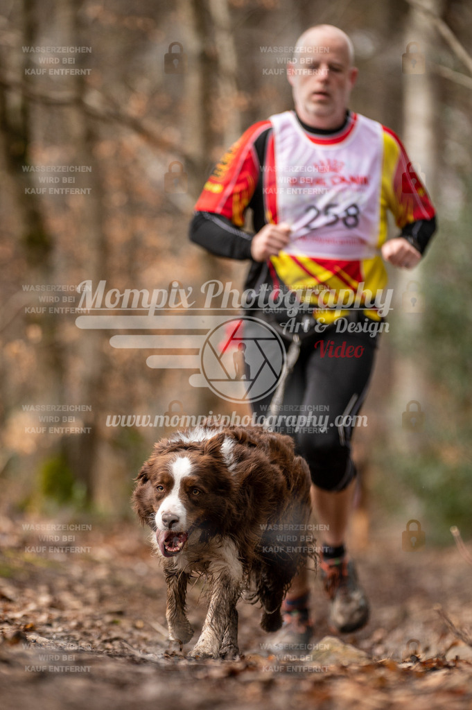 SPA_2023_DIM_CCK-42 | PayLife
