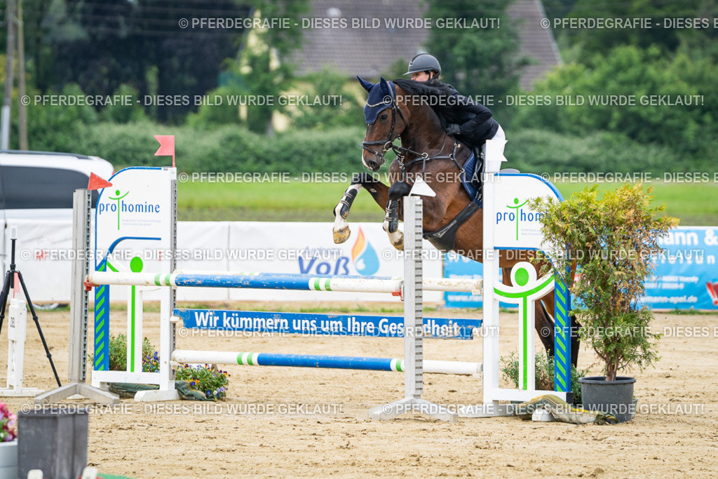 DSC03491 | Pferdegrafie