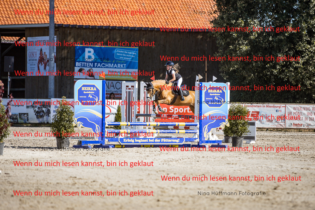 BK1A8061 | Turnierbilder Turnierfotos Nina Hüffmann Turnierfotografie Pferdefotografie Tierzeichnung Haustierzeichnung Pferdezeichnung Hundezeichnung Videograf  - Realisiert mit Pictrs.com