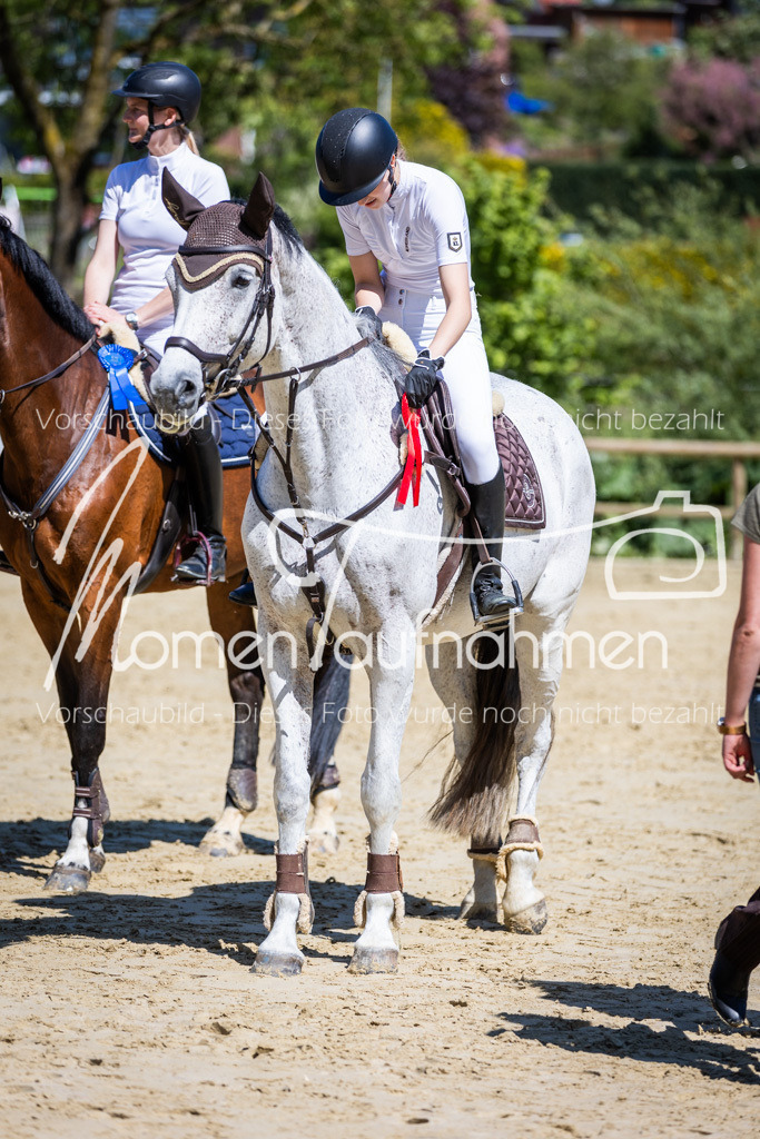 Donop24-ASprmstA-112 | MomenTaufnahmen Pferdesportfotos