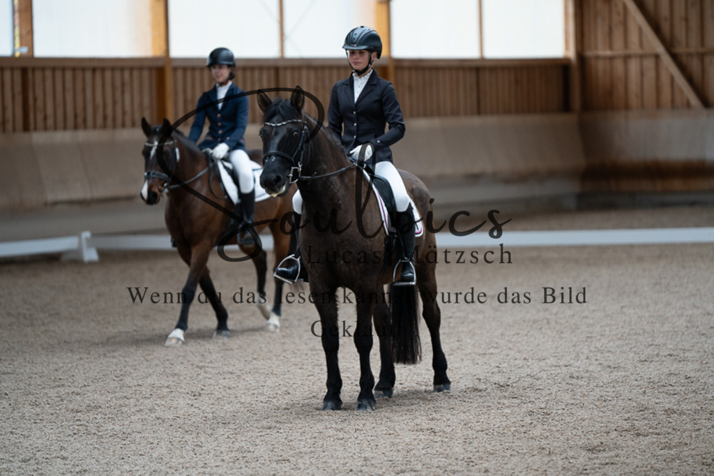 A7V02667 | Pferdefotograf