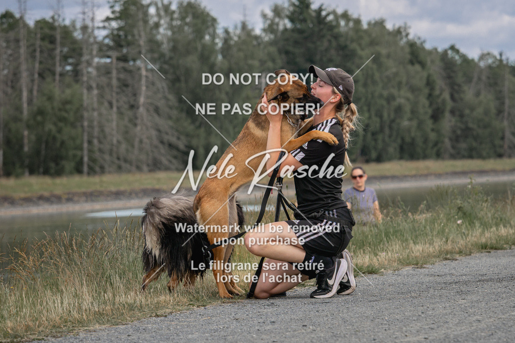 nelerasche_BuHu2026_SaCC1100-1200_136 | nelerasche