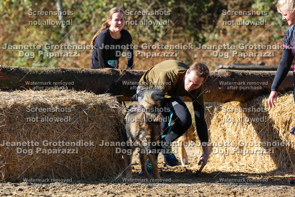 Dog Paparazzi - Strongdog 10-25-2368 | Dog Paparazzi Jeanette Grottendiek Fotografie & Videografie - Realisiert mit Pictrs.com