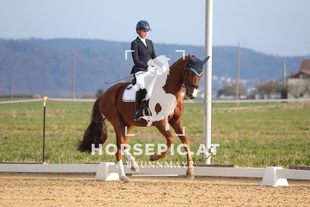0P6A5951 | Willkommen bei Brunnmayr - Design & Fotografie – Ihrem Spezialisten für Reitturniere und Pferdeveranstaltungen in Oberösterreich, Salzburg und Bayern! Seit über 17 Jahren sind wir leidenschaftlich dabei.