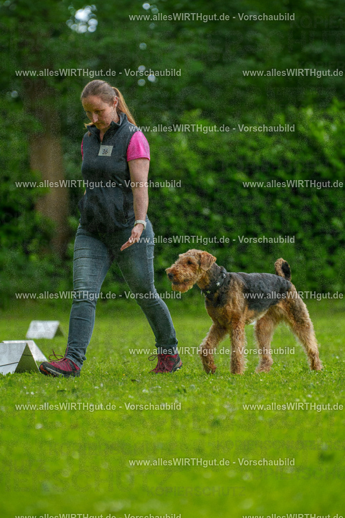 @allesWIRTHgut_Tierfotografie - www.allesWIRTHgut.de - 123831-7R509217 | Professionelle Tierfotografie in Mönchengladbach von Daniel Wirth (allesWIRTHgut). Liebevolle & natürliche Bilder von Hunden & Katzen für unvergessliche Erinnerungen.