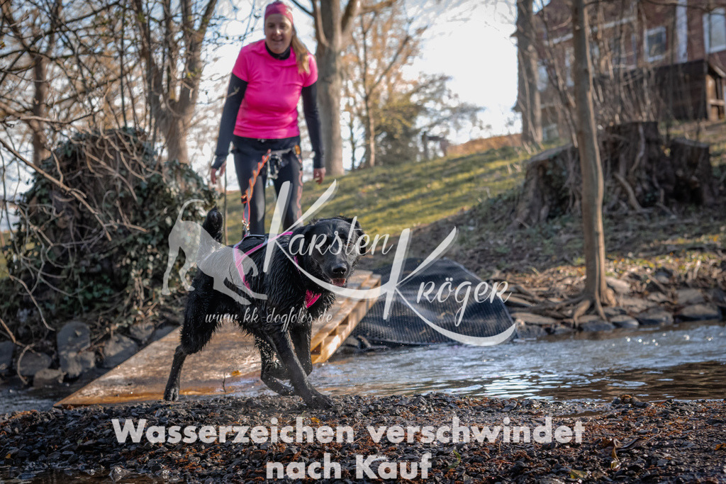 0834_ZZ92155 | kk-dogfotos