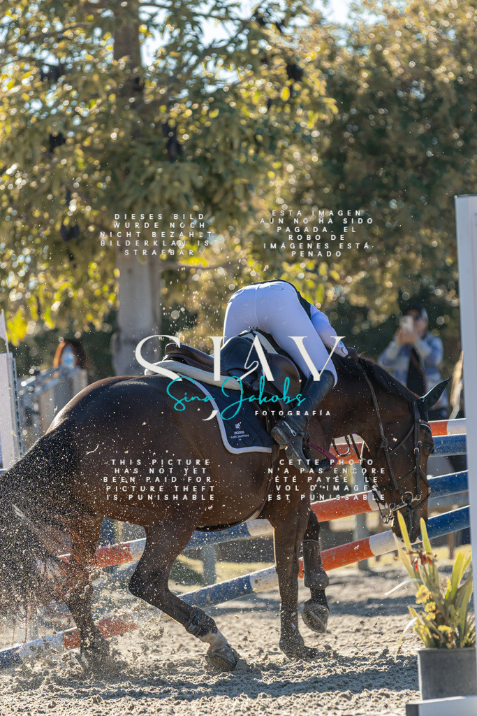 IMG_2121 | s-jay-photography - Realisiert mit Pictrs.com