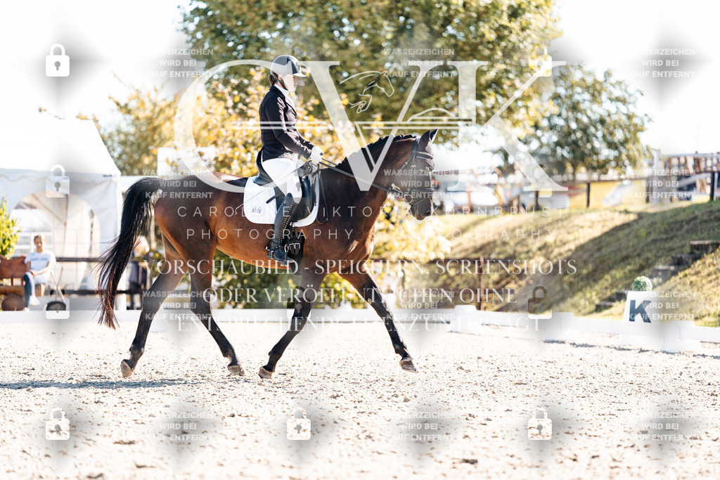 CK908713 | Turnierfotografie Pferdefotografie Trier Rheinland-Pfalz Pferdesport Reitsport Tierfotografie Sportfotografie Pferdevideo Pferdevideografie Equestrianvideography equestrianphotography  - Realisiert mit Pictrs.com