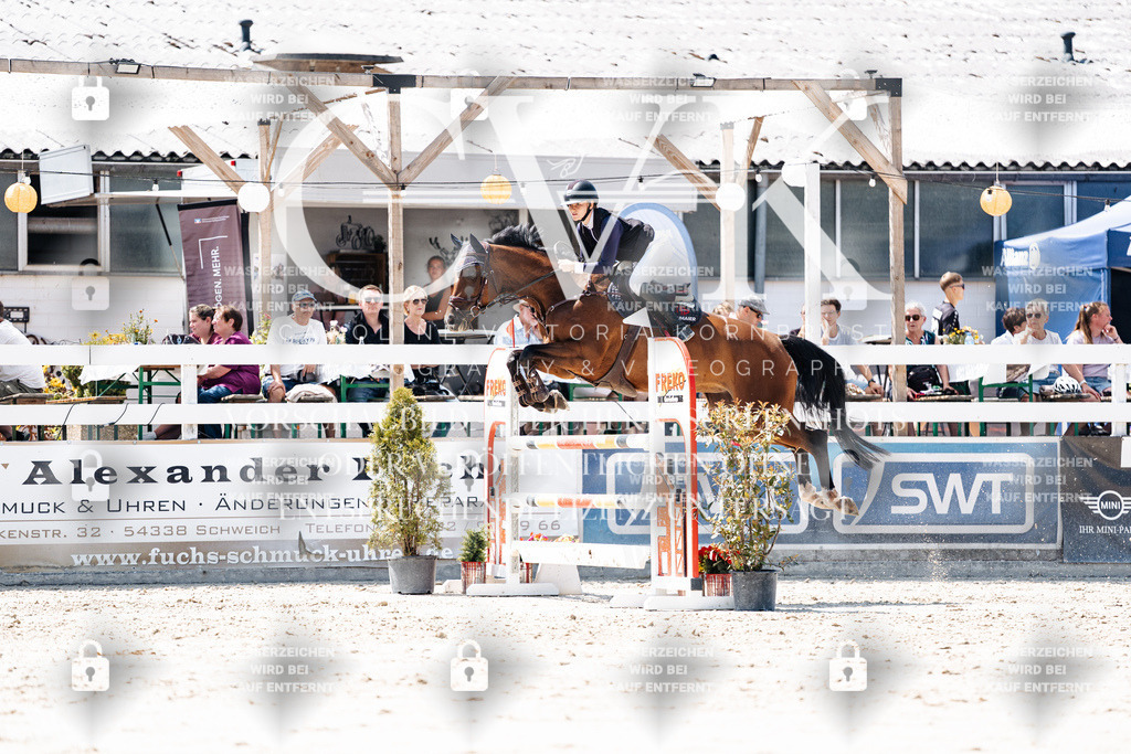 CK900115 | Turnierfotografie Pferdefotografie Trier Rheinland-Pfalz Pferdesport Reitsport Tierfotografie Sportfotografie Pferdevideo Pferdevideografie Equestrianvideography equestrianphotography  - Realisiert mit Pictrs.com
