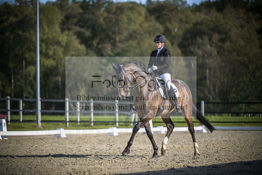 DOS_4683 | Entdecke hochwertige Reitturnierfotos von Foto Oger. Professionell, emotional und authentisch – jetzt Lieblingsmomente im Shop bestellen.Deutschlandweite Turnierfotografie. - Realisiert mit Pictrs.com