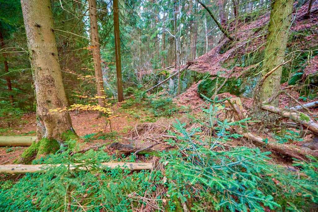 FHG Grillenburger Sandsteinbruch_ Quelle für Goldene Pforte am Freiberger Dom 05 | Bedeutsame Landschaften Deutschlands - Realisiert mit Pictrs.com