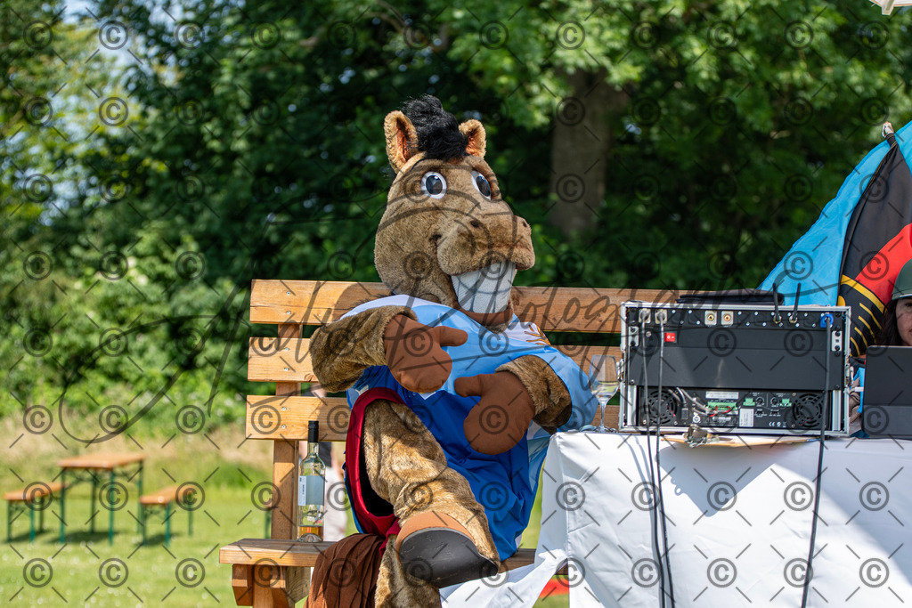 POL_2210 | andre_photographic