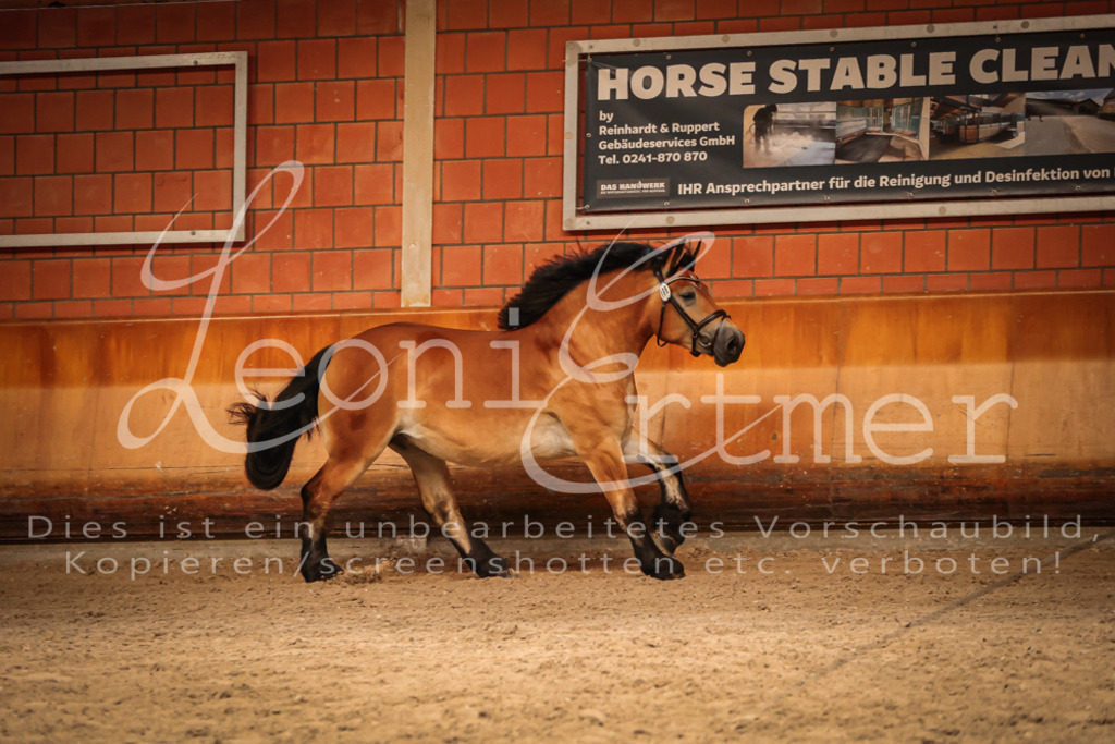 SaFL00196 | Leoni Ertmer Photography - Realisiert mit Pictrs.com