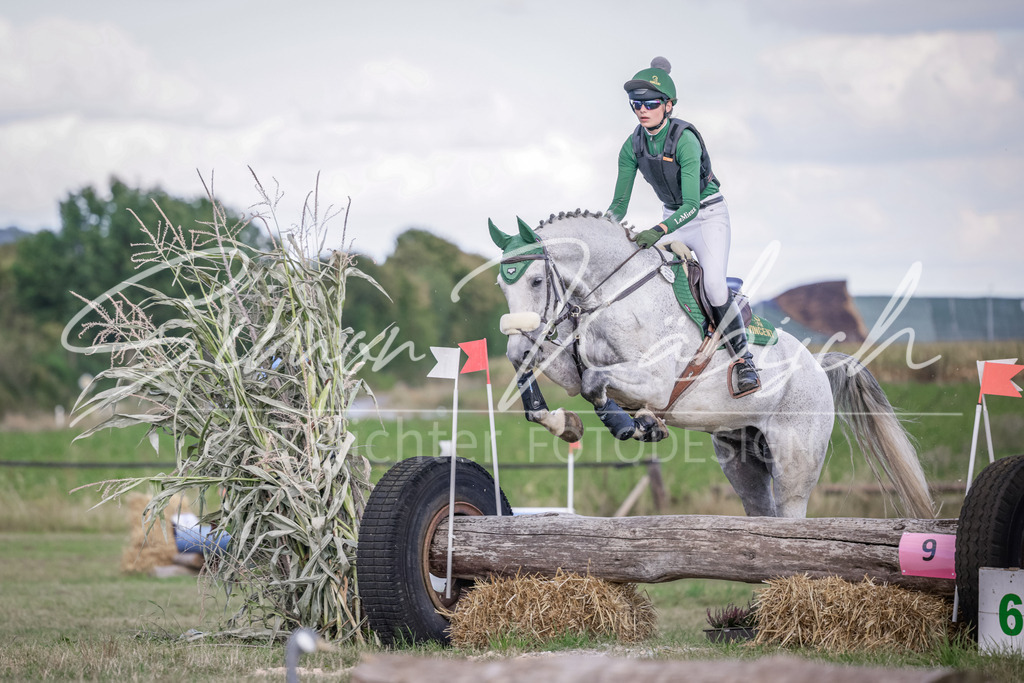 20250906-_3LI6974 | Tierfotografie Pferde, Hunde, Katzen, Haustiere.
Turnierfotografie Reitturniere, Reiten, Springreiten, Dressur in Hanau, dem Main-Kinzig-Kreis und dem Rhein-Main- Gebiet um Frankfurt