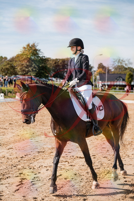 2026_10_03_Siefer-Hof_125340_Z63_61718371 | Professionelle Reitsport-, Turnier- und Eventfotografie von Robert Broda. Galerien mit ausgewählten und bearbeiteten Bildern direkt online ansehen und bestellen.