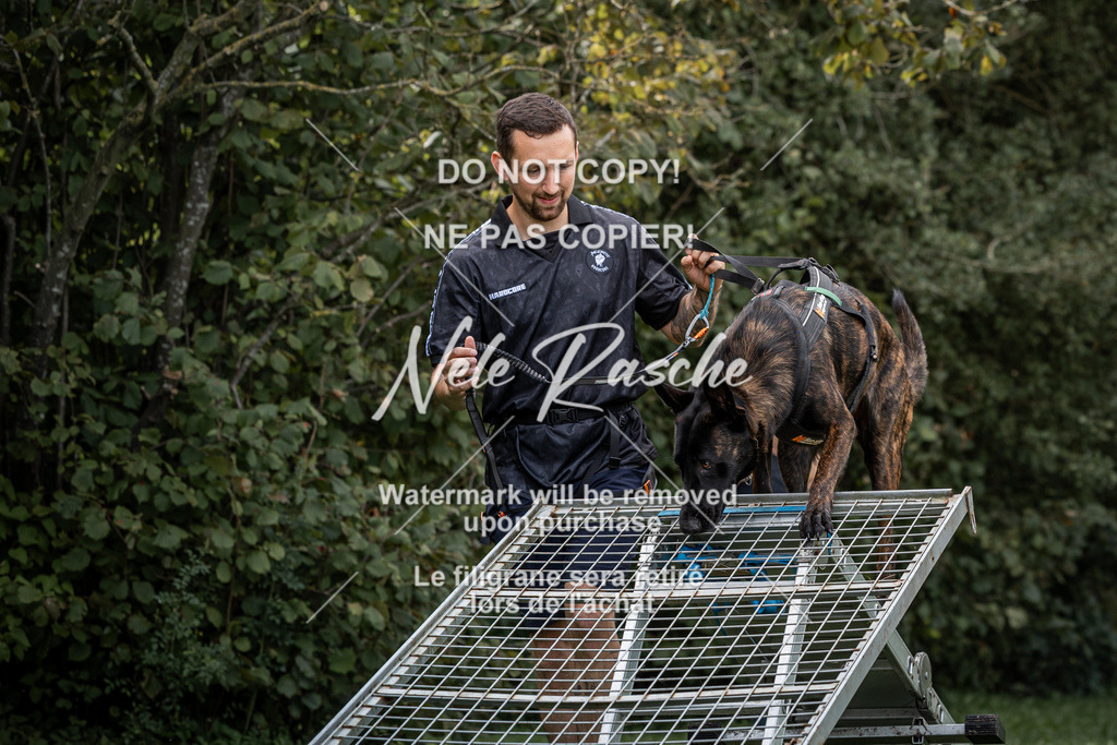 nelerasche_SoLauf_115 | nelerasche