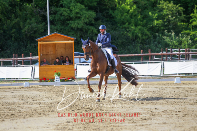 DKP46533 | Turniersportfotografie; Pferdefotografie; Dressurfotografie