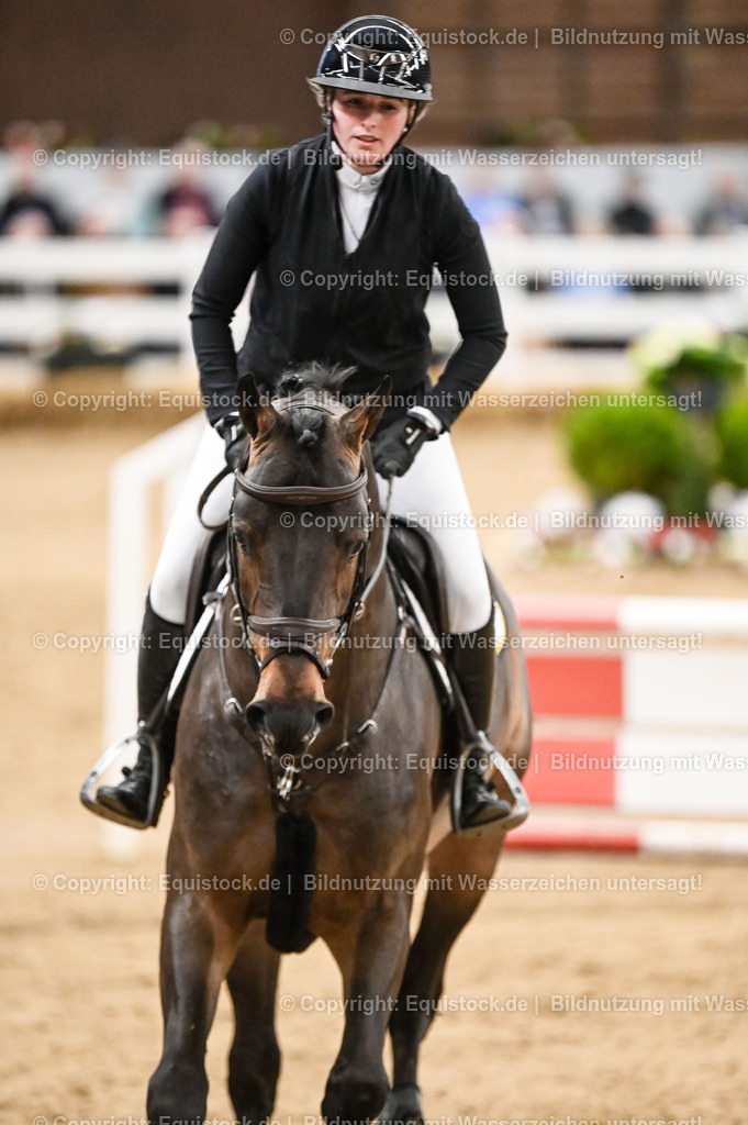 20260307_Hengstvorstellung-Marbach_0126 | equistock