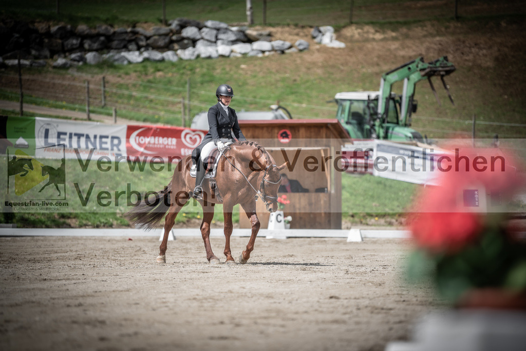 DSC_2593 | equestrian-live-com