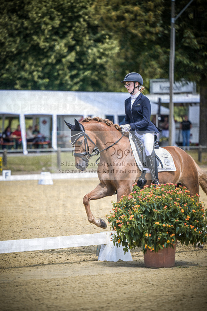 DOS_3094 | Entdecke hochwertige Reitturnierfotos von Foto Oger. Professionell, emotional und authentisch – jetzt Lieblingsmomente im Shop bestellen.Deutschlandweite Turnierfotografie. - Realisiert mit Pictrs.com