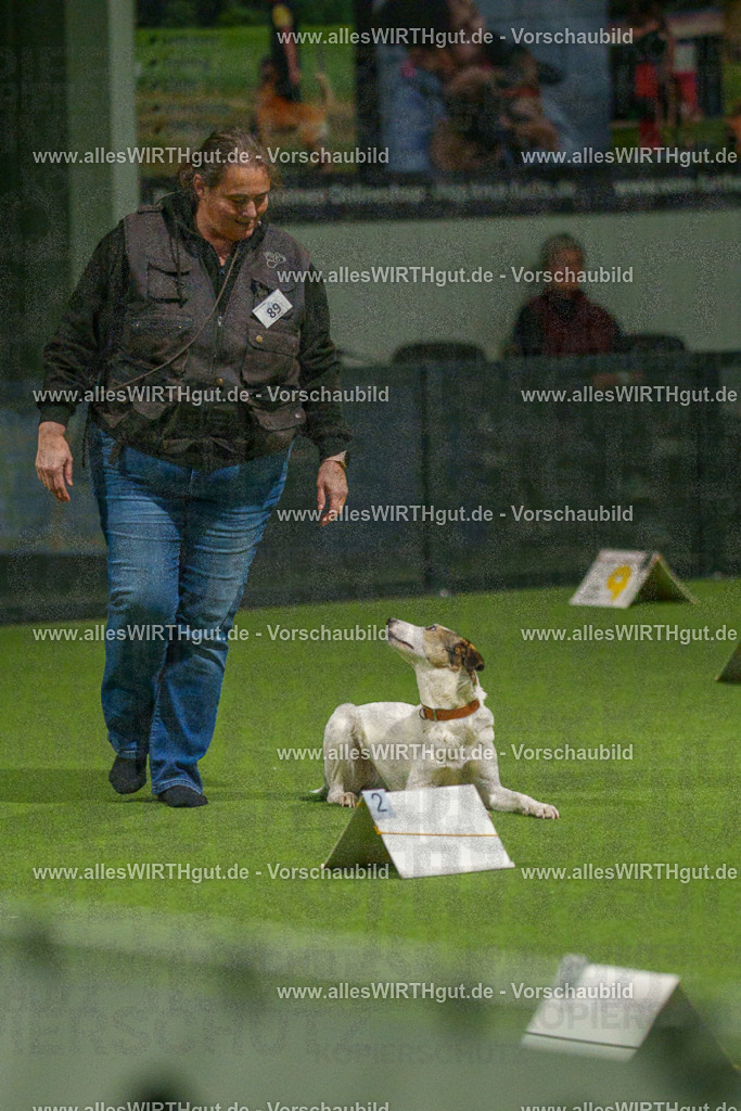 7R508604 | Professionelle Tierfotografie in Mönchengladbach von Daniel Wirth (allesWIRTHgut). Liebevolle & natürliche Bilder von Hunden & Katzen für unvergessliche Erinnerungen.