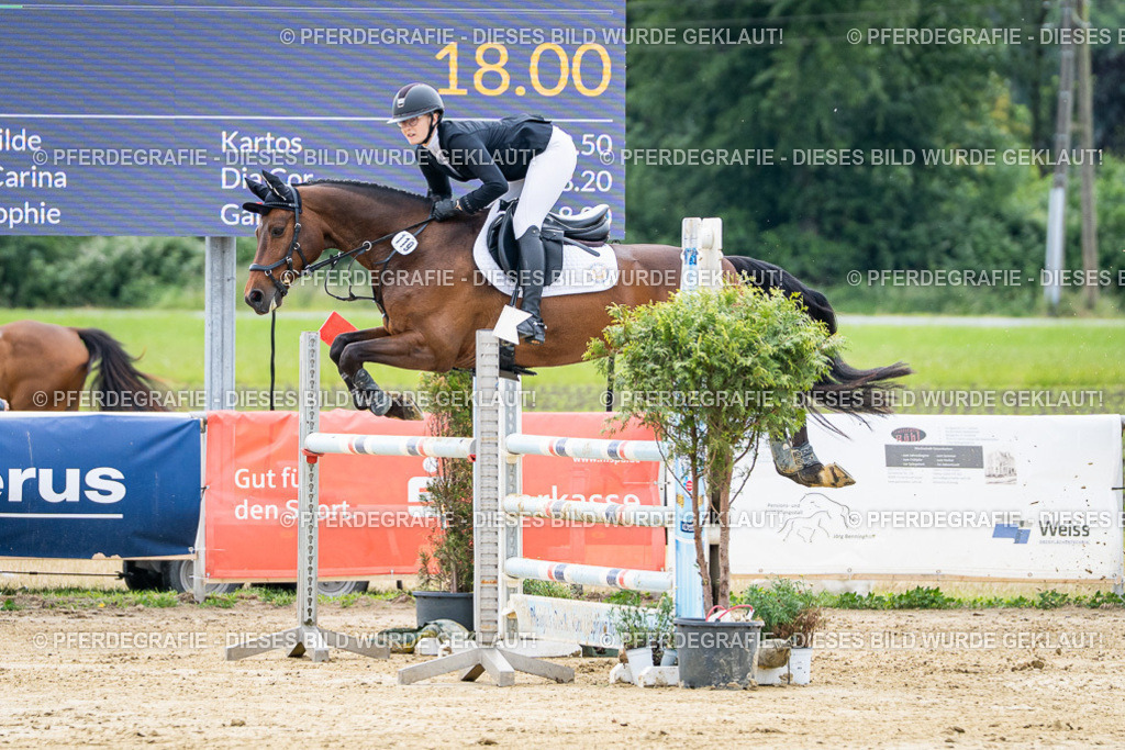 DSC04859 | Pferdegrafie