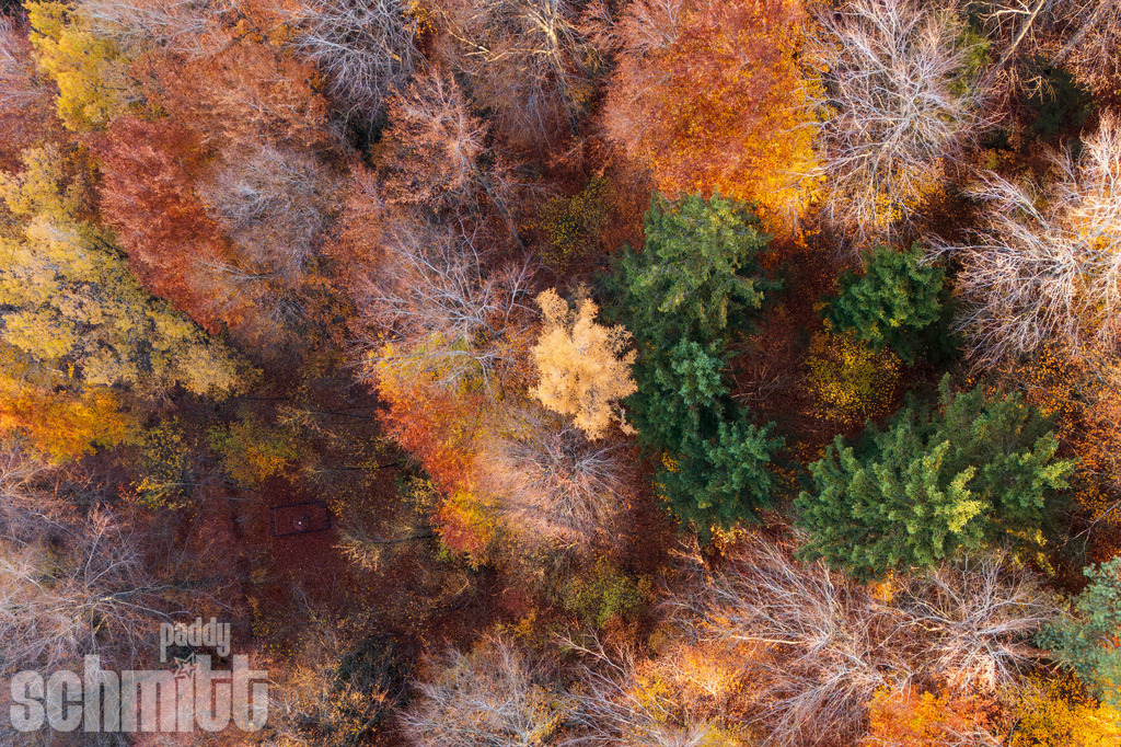 PS-Aerials-2026-16 | Entdecke die größte Bildgalerie der Region mit Fotografien aus dem Allgäu, der Bodenseeregion, Oberschwaben, dem Donautal und der Schwäbischen Alb. Landschaften, Luftaufnahmen und Reisefotografie als Wandbild und Fotokunst. - Realisiert mit Pictrs.com