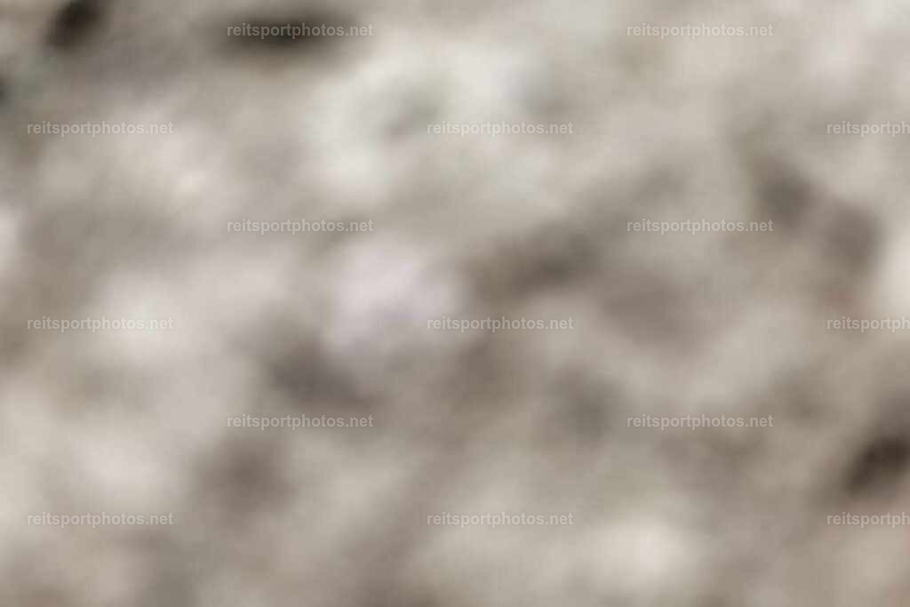 JoYaR3_Heidehof_01193 | JoYa Fotografie - Realisiert mit Pictrs.com