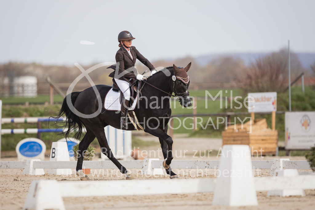 230410_Frühlingsfest_DressurWBE1-219 | Deine schönsten Turniermomente als professionelle Fotos! Entdecke hochwertige Pferdesport-Fotografie im Online-Shop. Jetzt Fotos finden & bestellen!