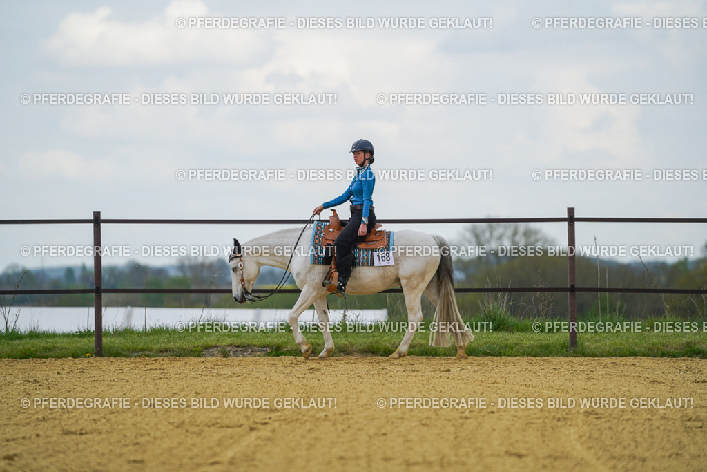 DSC06544 | Pferdegrafie