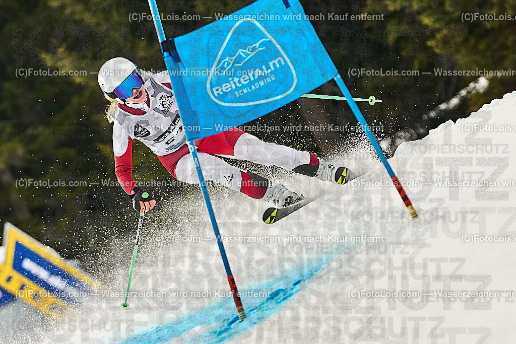 _WWO3954_MASTERS-WM_Reiteralm_CD-SG_FINZ Daniela | FISWORLD CHAMPIONSHIPSMASTERS ALPINE SKIING, 23. – 28. MÄRZ 2026 - REITERALM | STMK | AUT.   Veranstaltet vom Masters-Referat des Deutschen Skiverbandes (DSV). Durchführende Organisation: WSV Pichl-Reiteralm, unterstütutzt von den Bergbahnen REITERALM bei Schladming und SKI AUSTRIA.                            Disziplinen:  Super-G, GiantSlalom, Slalom.                                                 Kategorien:  A (Herrn 30-59 Jahre), B (Herrn ab 60 Jahre), C (Damen 30-59 Jahre), D (Damen ab 60 Jahre).                Rennstrecken:   Gasselhöhe und Muldenliftpiste auf der Reiteralm.
