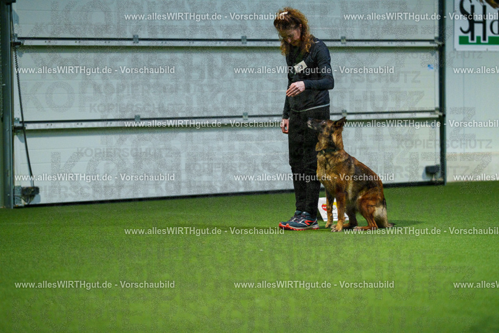 7R505657 | Professionelle Tierfotografie in Mönchengladbach von Daniel Wirth (allesWIRTHgut). Liebevolle & natürliche Bilder von Hunden & Katzen für unvergessliche Erinnerungen.