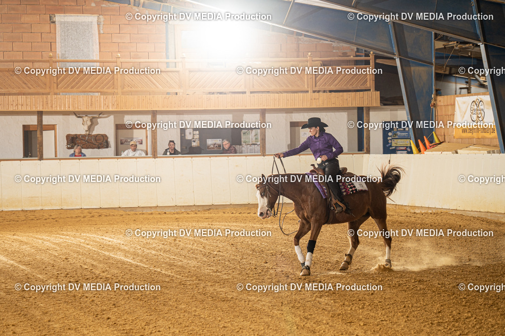 MIT00442 | dv-media-shop - Realisiert mit Pictrs.com