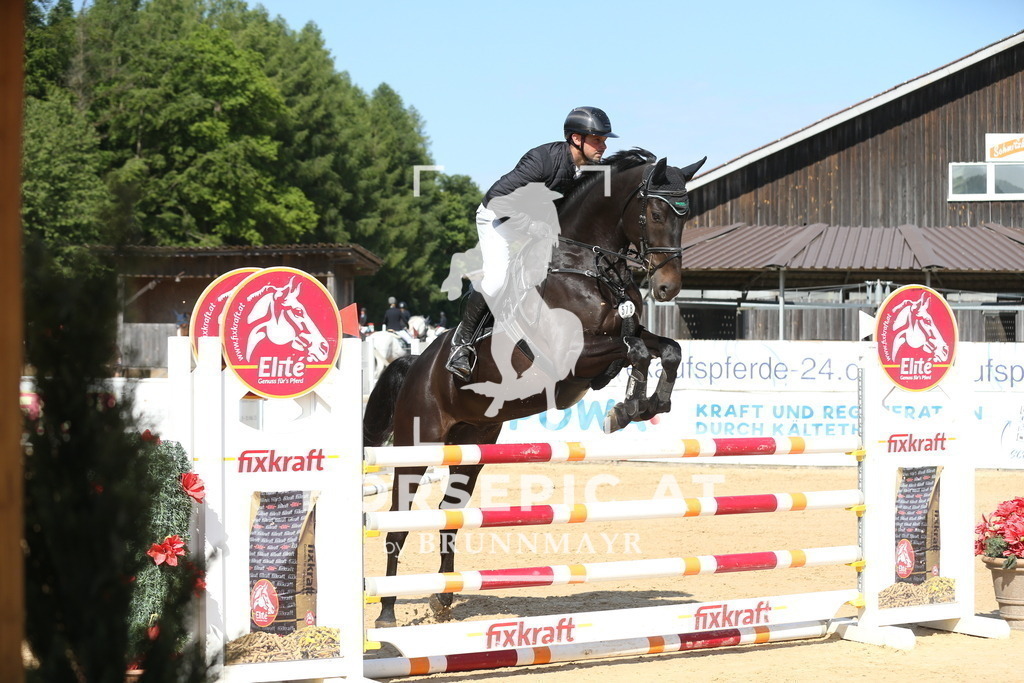 DL2Q0869 | Willkommen bei Brunnmayr - Design & Fotografie – Ihrem Spezialisten für Reitturniere und Pferdeveranstaltungen in Oberösterreich, Salzburg und Bayern! Seit über 17 Jahren sind wir leidenschaftlich dabei.