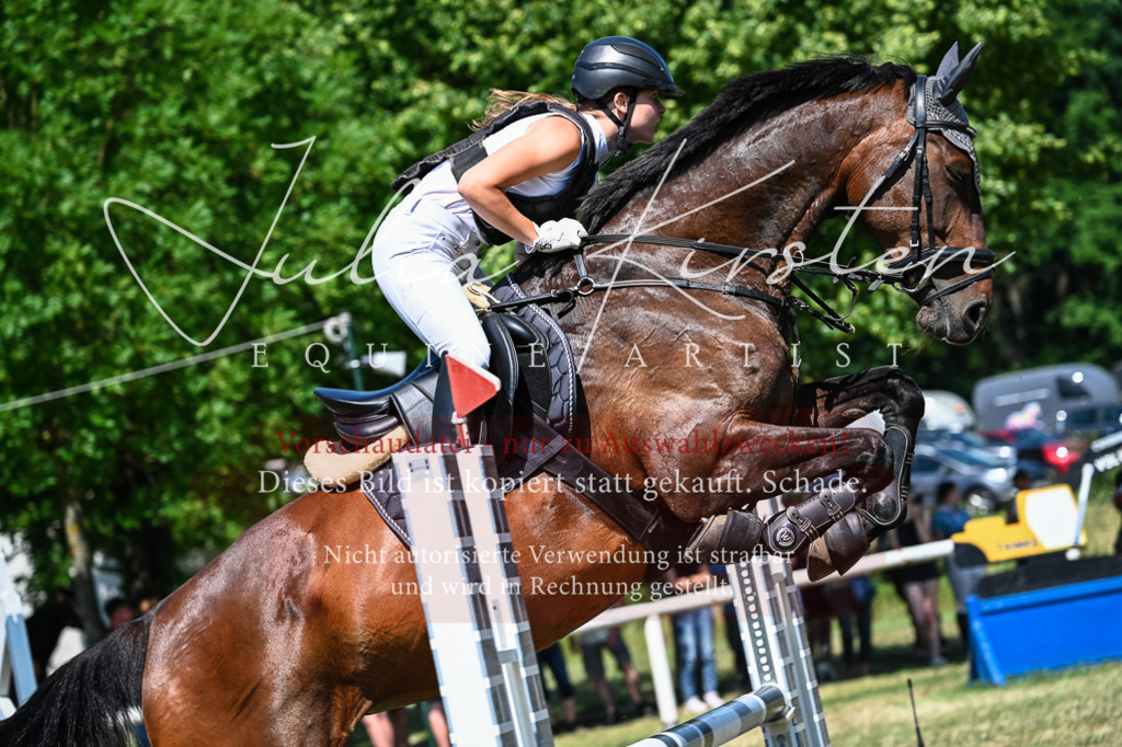 DSC_1066 | Pferde- und Turnierfotografie in Westsachsen. Pferdeportraits, Auftragszeichnungen und intuitive Kunst.