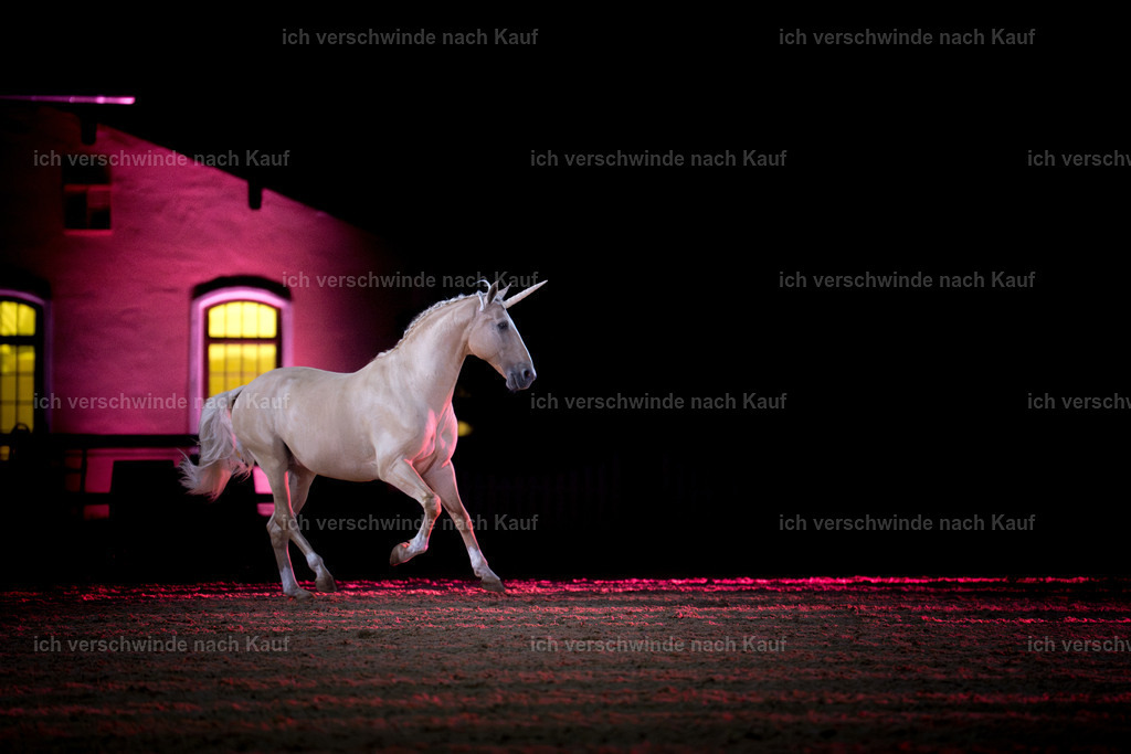 Gala-391 | working equitationturnier fotograf videograf stoibphotography marixx film working equitation deutschland reitsport turnierfotografie eventfotografie equestrian events