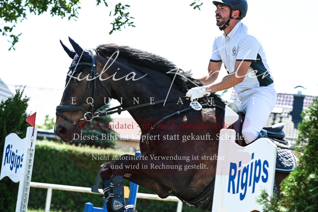 DSC_0337 | Pferde- und Turnierfotografie in Westsachsen. Pferdeportraits, Auftragszeichnungen und intuitive Kunst.
