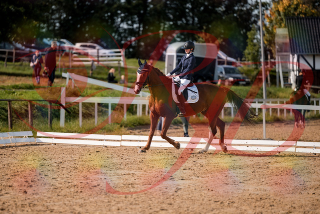2026_10_03_Siefer-Hof_123525_Z63_53447544 | Professionelle Reitsport-, Turnier- und Eventfotografie von Robert Broda. Galerien mit ausgewählten und bearbeiteten Bildern direkt online ansehen und bestellen.