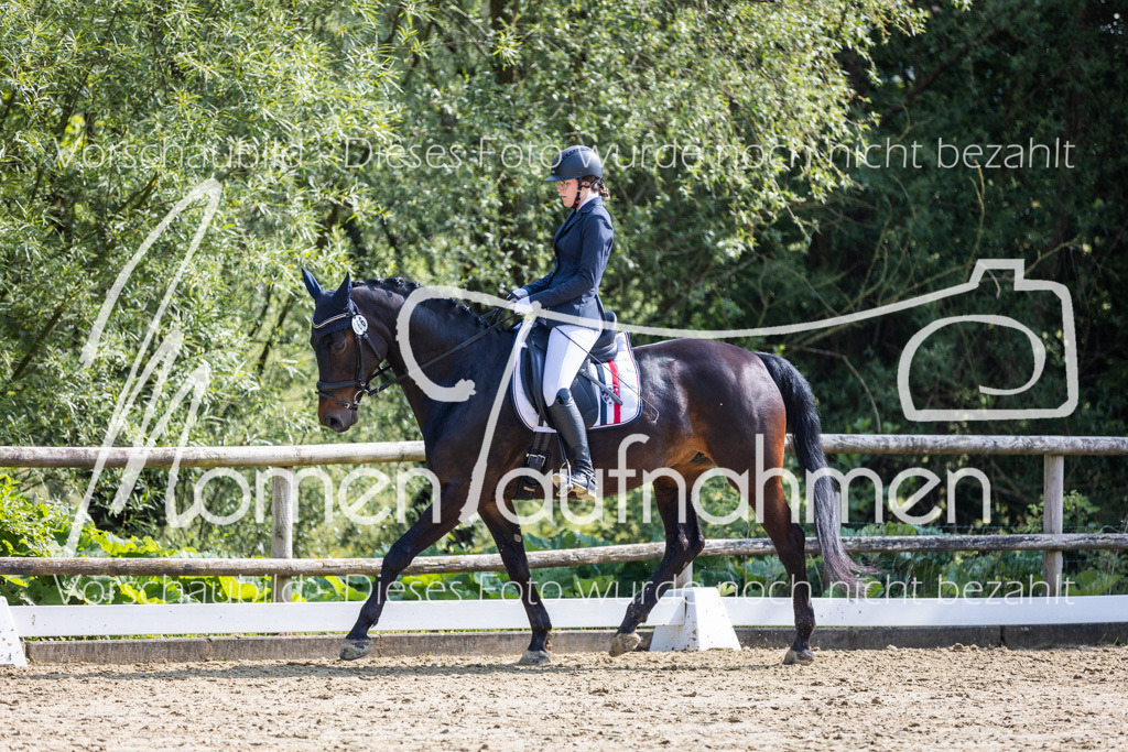 Donop24-A2-Dre-054 | MomenTaufnahmen Pferdesportfotos